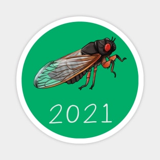 2021 Cicada Magnet